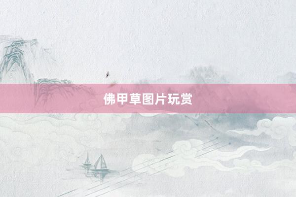 佛甲草图片玩赏