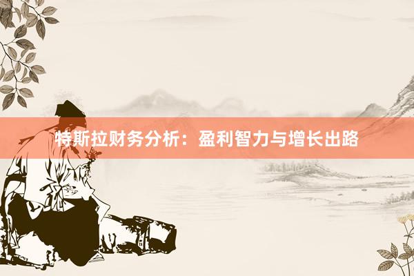 特斯拉财务分析：盈利智力与增长出路