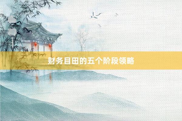财务目田的五个阶段领略